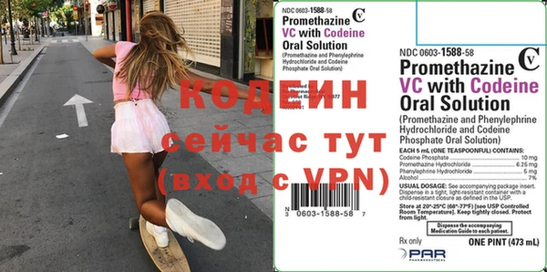 ECSTASY Тында