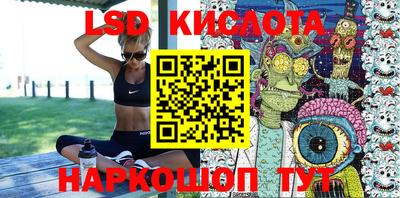 кокс Гатчина