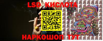 кокс Гатчина