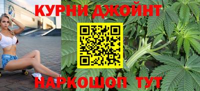 кокс Гатчина