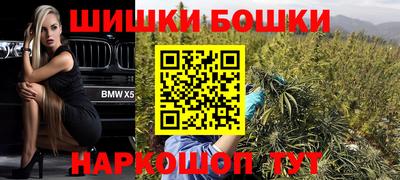 кокс Гатчина