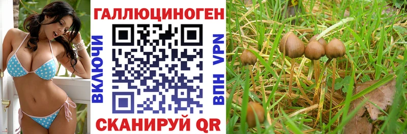 Галлюциногенные грибы мицелий  Дивногорск 