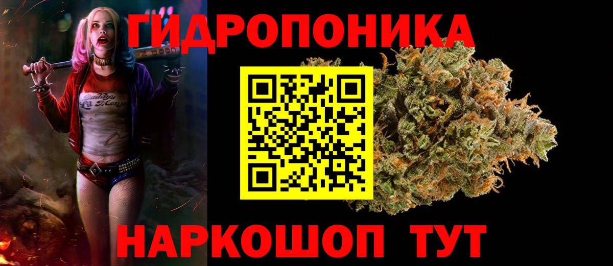 Конопля ГИДРОПОН  Марихуана SATIVA & INDICA  Дивногорск  Вход с VPN  Марихуана гибрид 